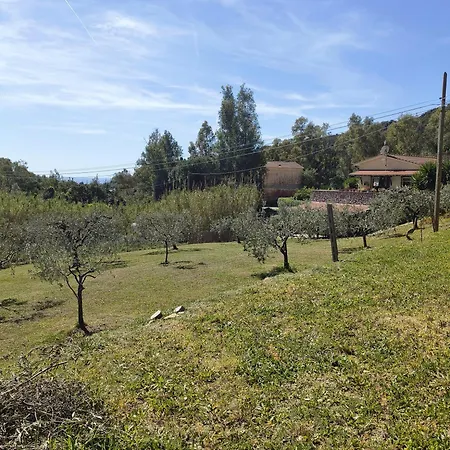 Casa Homestay szállás Lacona