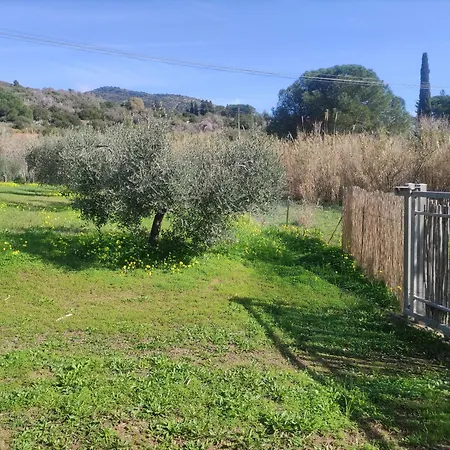 Casa * Lacona